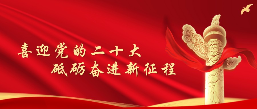 哪里可以找到篮球训练的模范案例_1