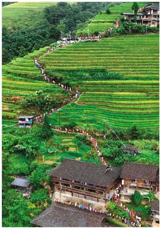 大学生前锋的职业发展规划_2